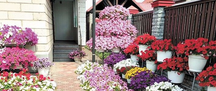 Город в цветах: дело каждого